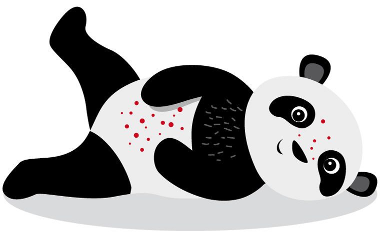 Panda mit Masern